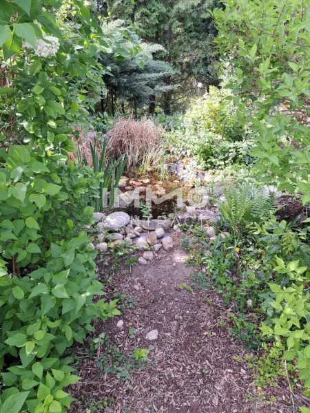 Bild von Teich