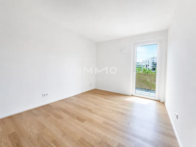 ZIMMER_1