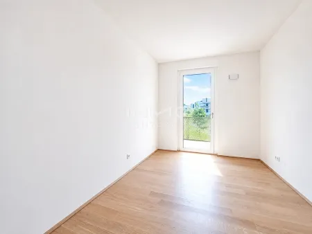ZIMMER_2