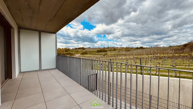 Aussichtslage Top 8: Weingartenblick - 3 Zimmer Eigentumswohnung mit Terrasse - Titelbild