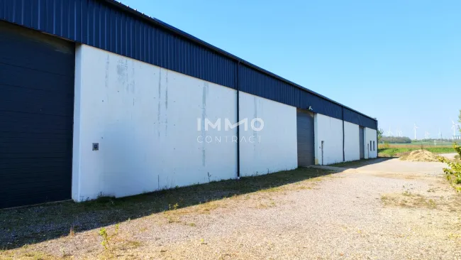 Halle