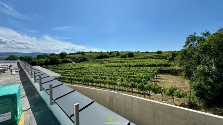Aussichtslage Top 11: Weingartenblick - Luxuriöse 4 Zimmer Dachgeschosswohnung mit herrlicher Terrasse