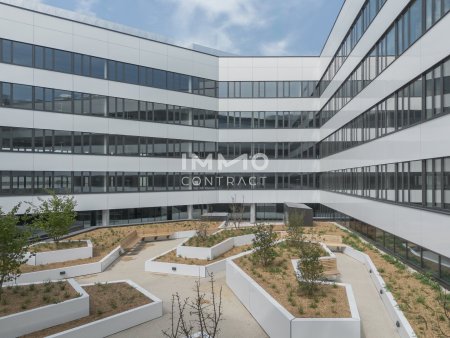 Central Hub