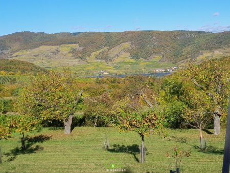 Obstbau Unternehmen - landwirtschaftlicher Betrieb in der Wachau