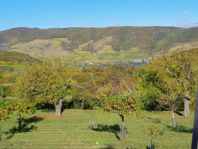 Obstbau Unternehmen - landwirtschaftlicher Betrieb in der Wachau - Bild