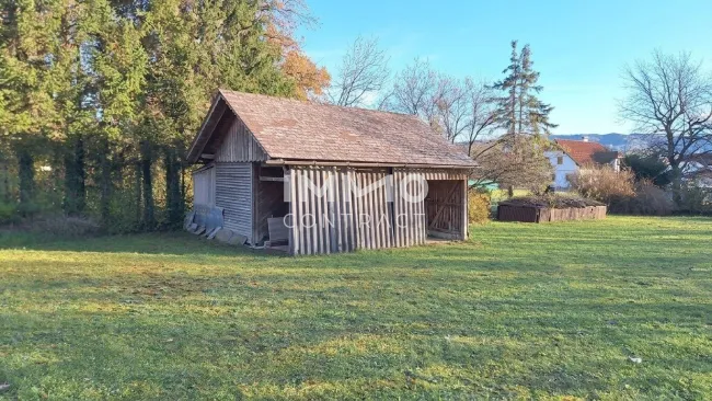 Ebener Baugrund ohne Bauverpflichtung in der Gemeinde Kematen an der Ybbs mit ca. 800 m² BW - Bild