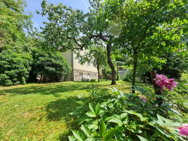 zentrumsnahes Miethaus: Garten-Ruhe-Oase mit Freiblick auf die Weinberge - Bild