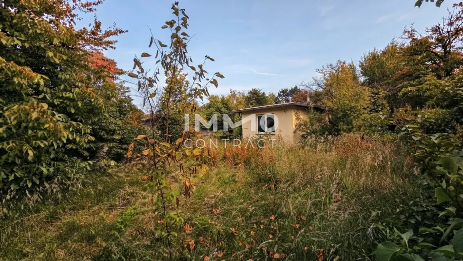 Gelegenheit! Platz für Wohnträume – großes, erschlossenes Grundstück mit Altbestand - für Familie oder Projektbau - Titelbild
