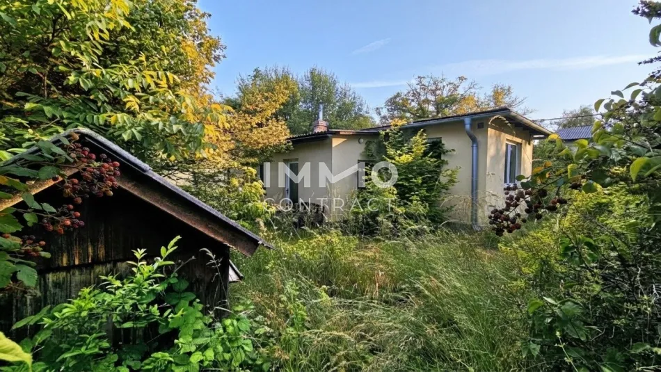 Gelegenheit! Platz für Wohnträume – großes, erschlossenes Grundstück mit Altbestand - für Familie oder Projektbau - Bild
