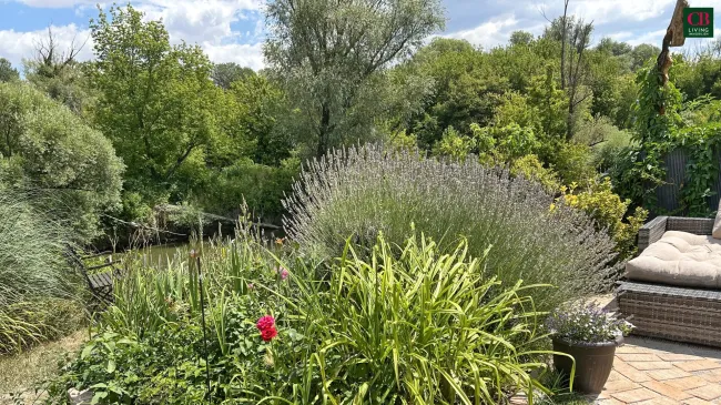 Willkommem im Paradies! Entzückendes Sommerhaus mit direktem Zugang zum Wasser! - Bild