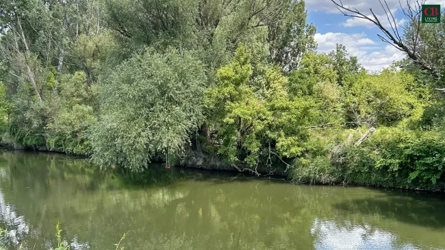 Willkommem im Paradies! Entzückendes Sommerhaus mit direktem Zugang zum Wasser! - Bild