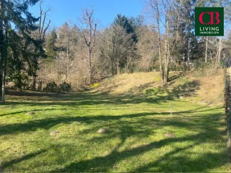EINZIGARTIGER VILLENBAUGRUND IN WEIDLING - Bild