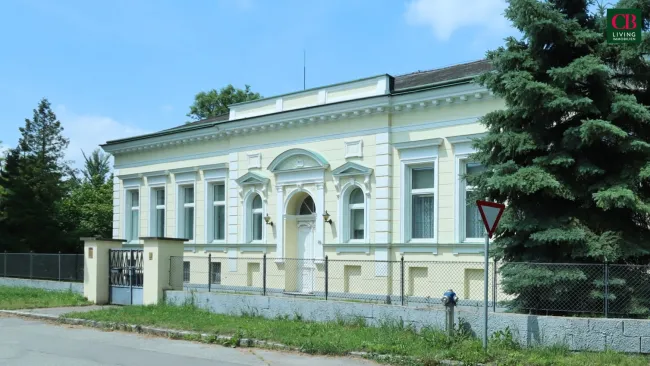 HERRENHAUS MIT VIEL ELEGANZ UND GROSSEM POTENTIAL !!! - Bild