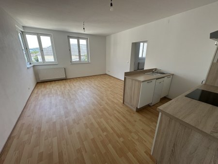 Gemütliche Wohnung in 3393 Matzleinsdorf