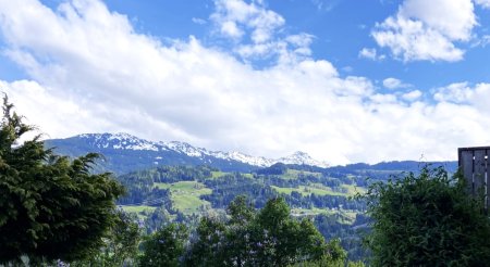 Daheim im Grünen – mit der Stadt um die Ecke