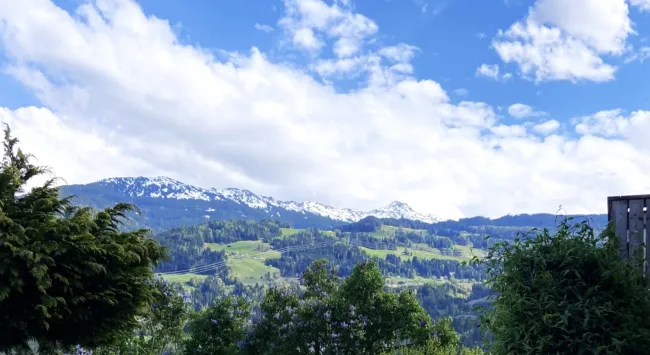 Daheim im Grünen – mit der Stadt um die Ecke - Titelbild