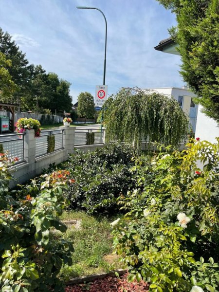 Exklusiver Bungalow mit Pool in 2603 Felixdorf – stilvolles Wohnen am Speckgürtel von Wien