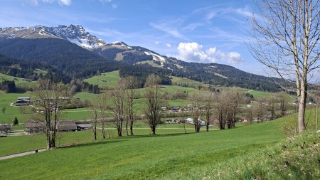 Sehr schöne Landwirtschaftliche Flächen in St. Johann in Tirol Ortsteil Winkel-Sonnseite!