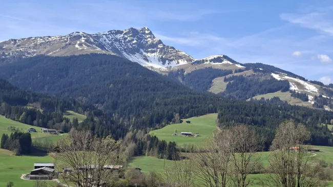 Sehr schöne Landwirtschaftliche Flächen in St. Johann in Tirol Ortsteil Winkel-Sonnseite! - Bild