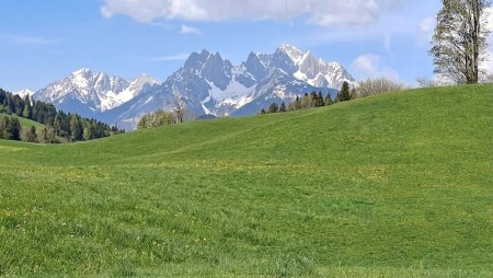 Sehr schöne Landwirtschaftliche Flächen in St. Johann in Tirol Ortsteil Winkel-Sonnseite!