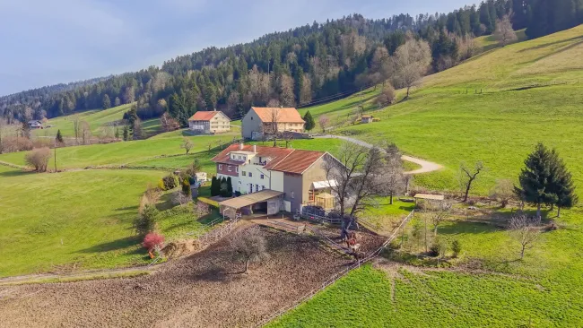 Sulzberg-Thal | Mehrparteienhaus | Großzügiges Anwesen mit 50.012 m² - Bild