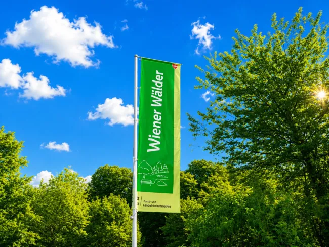 Hochwertige Doppelhaushälfte mit 175 m² Nutzfläche, Eigengarten, Keller & nachhaltigem Energiekonzept - Bild