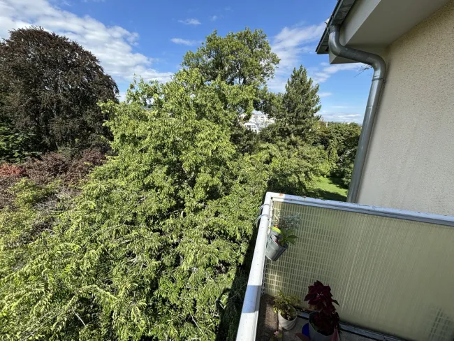 Ruhige Terrassenwohnung mit Parkblick! - Titelbild
