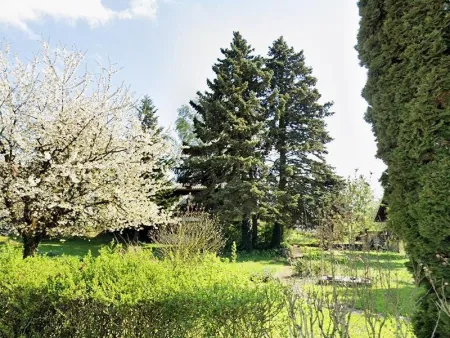 Sonniger Baugrund