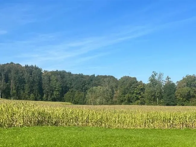 Nähe Steyr