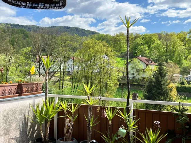Großzügige 5-Zi-DG-Wohnung in Linz mit Balkon, Loggia & Garage – Traumlage! - Bild
