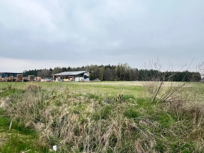 Gewerbegrundstück direkt an der A1 in 4621 Schnarrndorf – 18.957 m² Top-Lage zum Kauf! - Titelbild