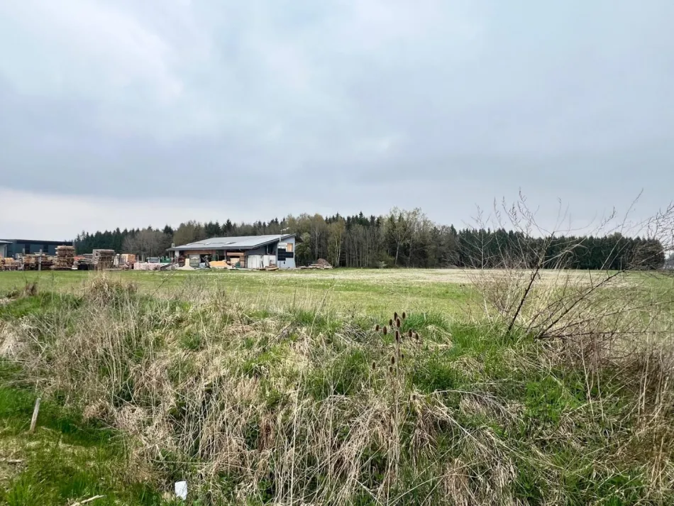 Gewerbegrundstück direkt an der A1 in 4621 Schnarrndorf – 18.957 m² Top-Lage zum Kauf! - Titelbild