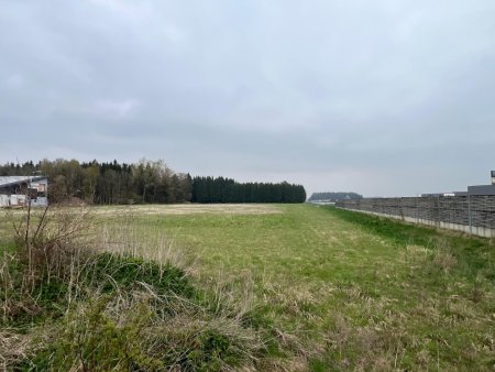 Gewerbegrundstück direkt an der A1 in 4621 Schnarrndorf – 18.957 m² Top-Lage zum Kauf!