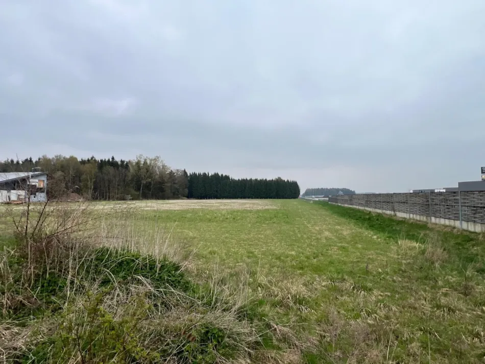 Gewerbegrundstück direkt an der A1 in 4621 Schnarrndorf – 18.957 m² Top-Lage zum Kauf! - Bild