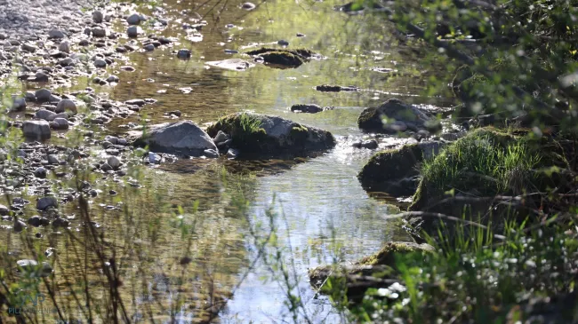 Natur pur - Traumlage Adnet! - Bild