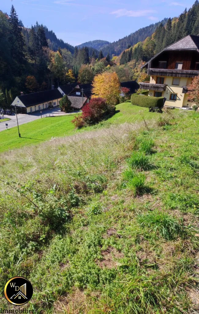 Wohnen wo andere Urlaub machen-Am Fuße des Skigebiets Klippitztörl – sonnige Aussicht über Lölling. - Bild