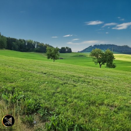 Ihr Platz an der Sonne: Exponierte Aussichtslage eingebettet in traumhafter idyllischer Wiesenlandschaft