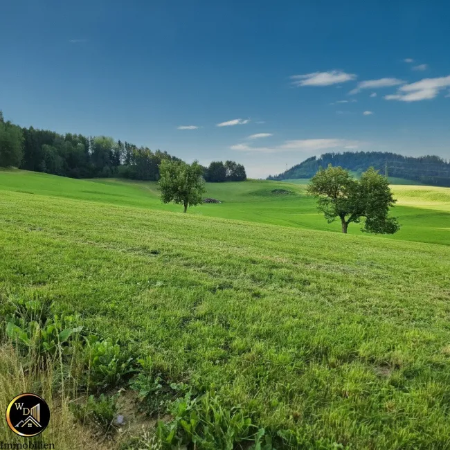 Ihr Platz an der Sonne: Exponierte Aussichtslage eingebettet in traumhafter idyllischer Wiesenlandschaft - Titelbild