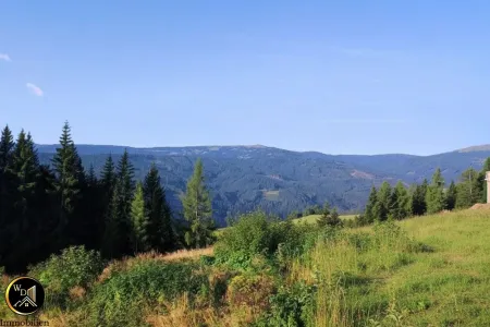 Über den Wolken kann die Freiheit nur grenzenlos sein- Alpen-Baugrundstück, voll aufgeschlossen auf 1.250 Metern Seehöhe!