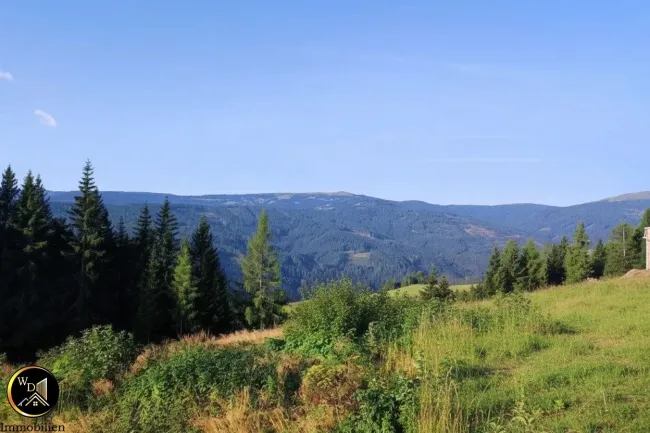 Über den Wolken kann die Freiheit nur grenzenlos sein- Alpen-Baugrundstück, voll aufgeschlossen auf 1.400 Metern Seehöhe! - Titelbild