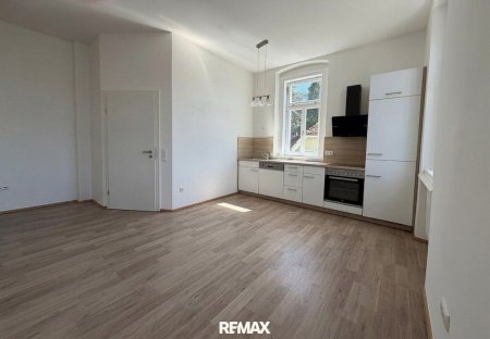 Küche / Wohnzimmer / Esszimmer