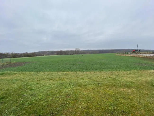 Traumhaftes Grundstück - 3254m² in Hausbrunn zu verkaufen - Titelbild