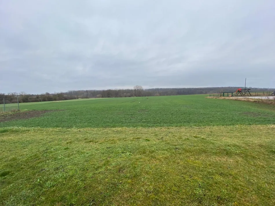 Traumhaftes Grundstück - 3254m² in Hausbrunn zu verkaufen - Titelbild