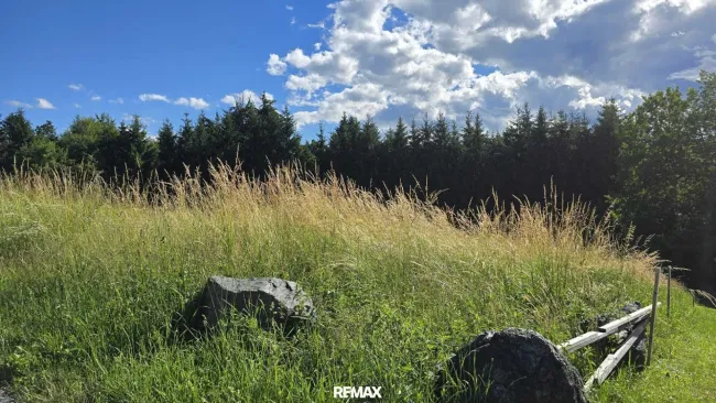 Ausblick Wald und Wiese