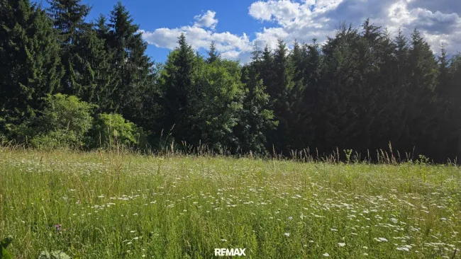 Ausblick Grundstück
