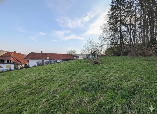 Blick in Richtung Norden