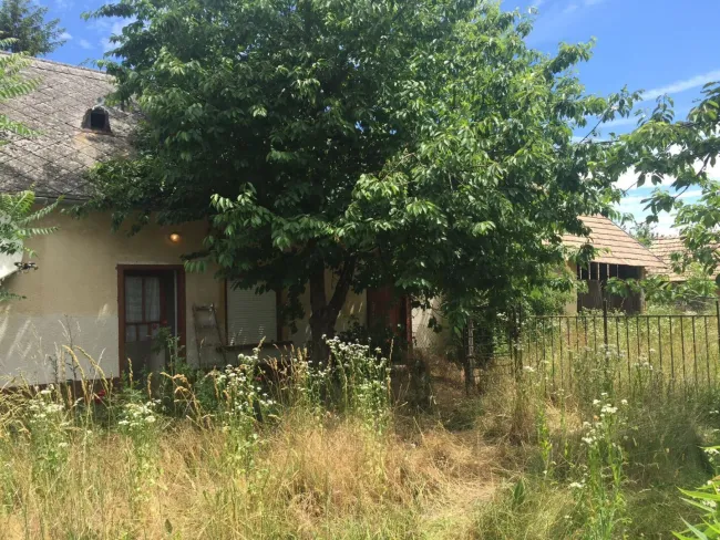Traumhaftes Grundstück in Ungarn - 4292m² zum unschlagbaren Preis von €79,700.00 in Nagycsepely! - Bild