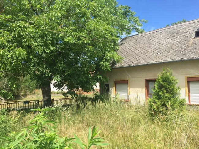 Traumhaftes Grundstück in Ungarn - 4292m² zum unschlagbaren Preis von €79,700.00 in Nagycsepely! - Titelbild