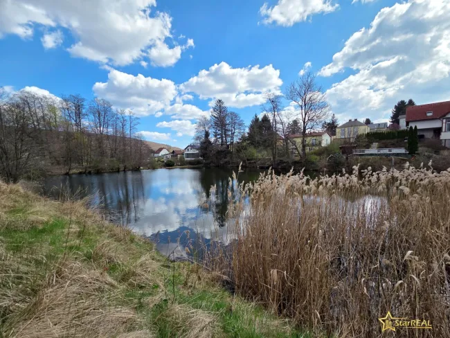 Blick auf den Teich