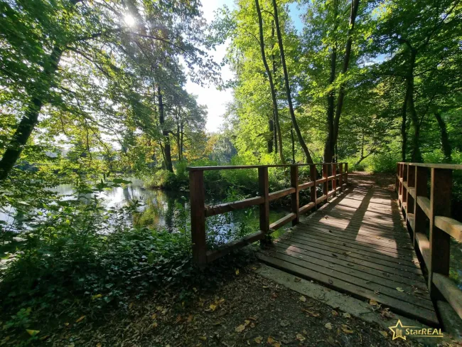 Schlosspark